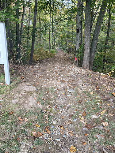 010 East Field Path 211021