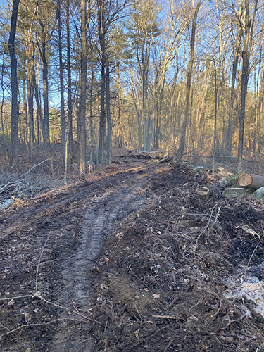 020 East Field Path 211213