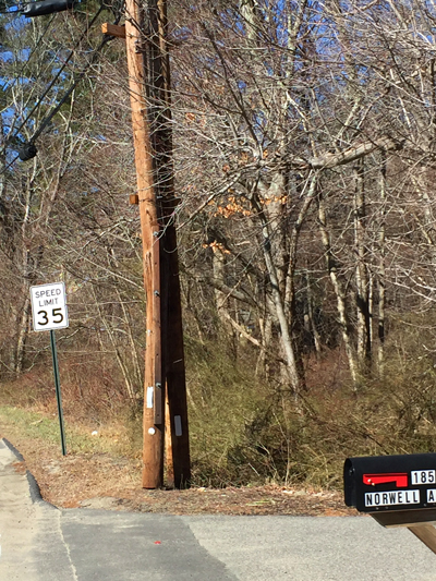 Corner of Norwell Ave and Trout Brook Ln